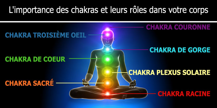 L'importance des chakras et leurs rôles dans votre corps - Yoga du son