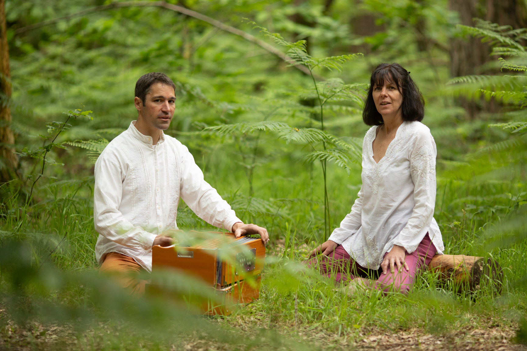 Yoga du Son harmonium