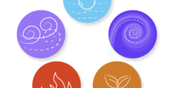 5éléments