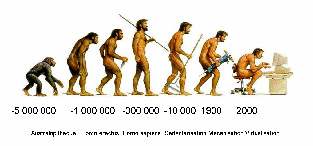 évolution du corps humain
