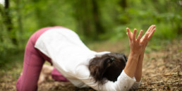 chat qui s'étire offrande