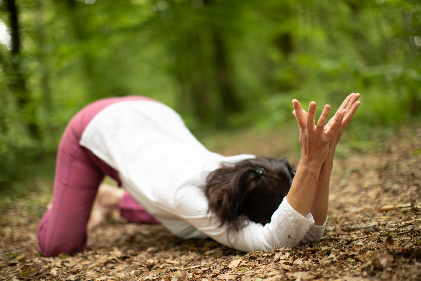 chat qui s'étire offrande